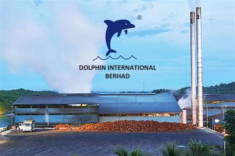 dolphin international berhad